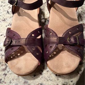 Dansko buckled sandals